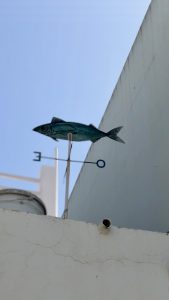 Dove vanno in vacanza gli spagnoli?                            Diario da Conil de la Frontera