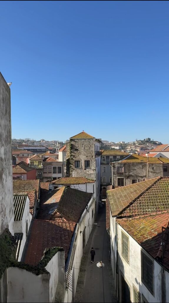 vila nova de gaia porto