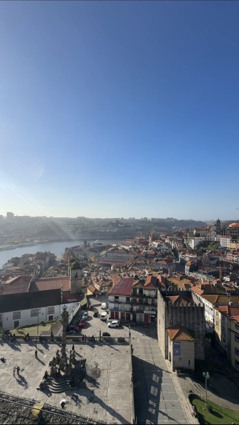 panoramica cattedrale porto